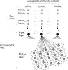 Pasted image 20240521075050.png